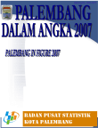 Palembang Dalam Angka 2007