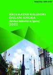 Kecamatan Kalidoni Dalam Angka 2022