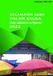 Kecamatan Sako Dalam Angka 2022